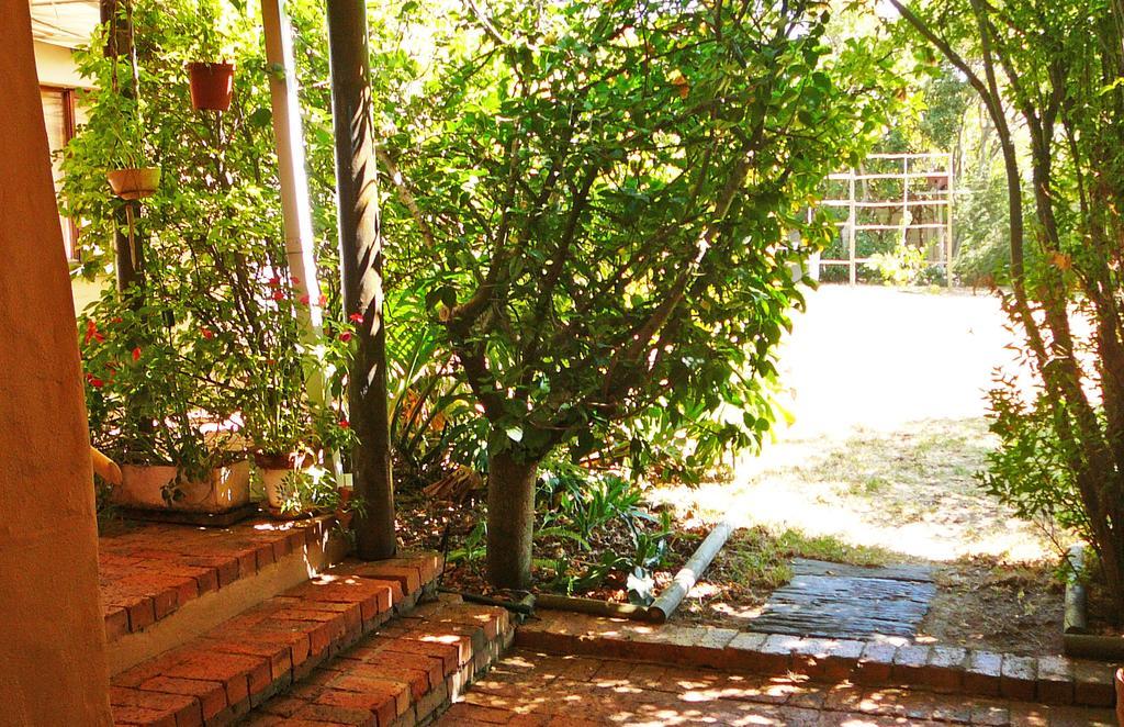 Vineyards Country Home Guest Room Blomtuin Dış mekan fotoğraf